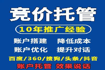 案例对比：不同竞价推广策略的优劣分析